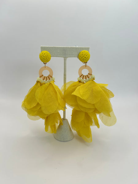Aretes chapa de oro-8248-$376